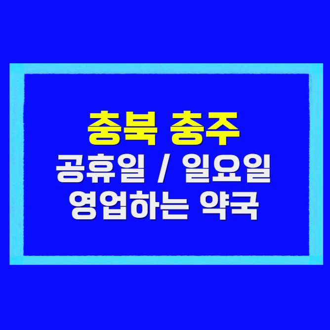 충북 충주 공휴일 약국