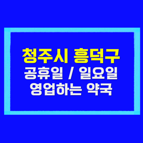 흥덕구 공휴일 약국