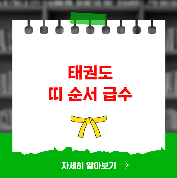 태권도 띠 순서 급수