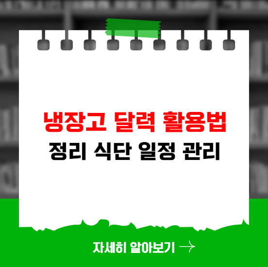 냉장고 달력 활용법 정리 식단 일정 관리