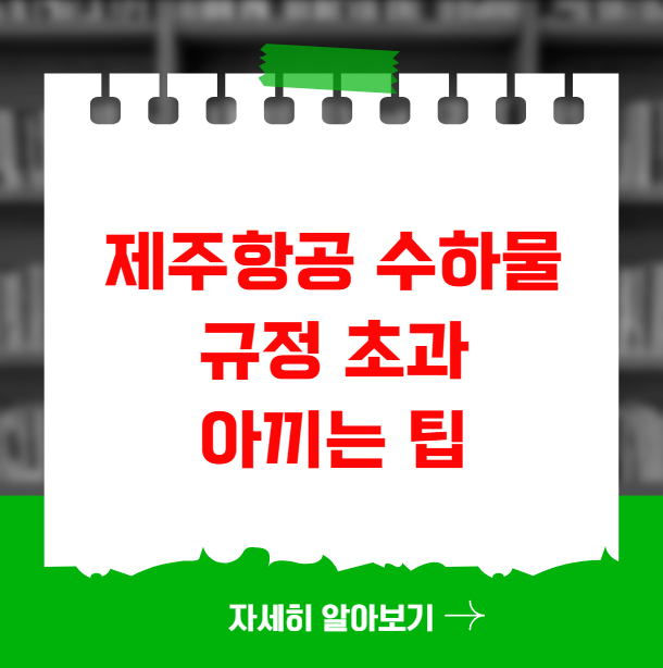 제주항공 수하물 규정 초과 요금 아끼는 팁