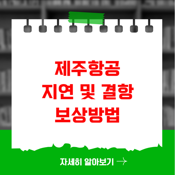 제주항공 항공편 지연 및 결항 시 보상받는 법