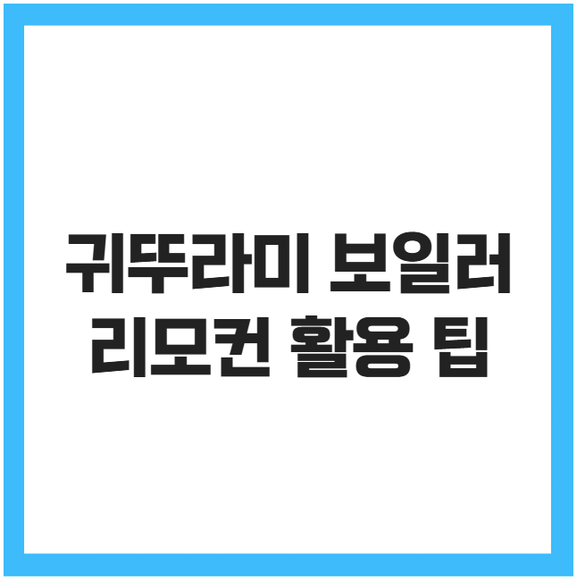 귀뚜라미 보일러 리모컨 활용 팁 귀뚜라미 보일러 리모컨 활용 팁