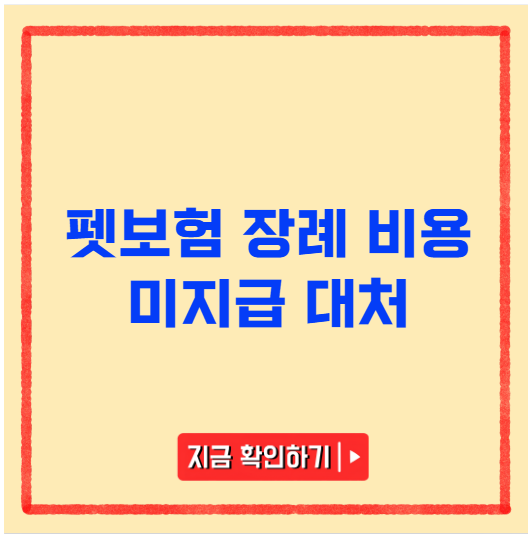 펫보험 장례 비용 미지급 대처 펫보험 장례 비용 미지급 대처