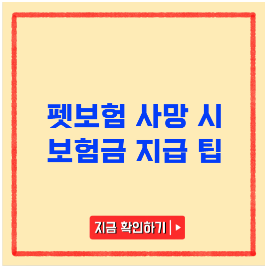 펫보험 사망 시 보험금 지급 팁 펫보험 사망 시 보험금 지급 팁